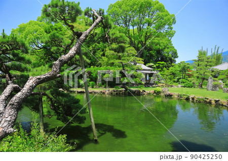 【愛媛県】晴天の天赦園春雨亭（書屋） 90425250