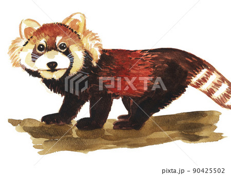 redpanda22605pix7 90425502