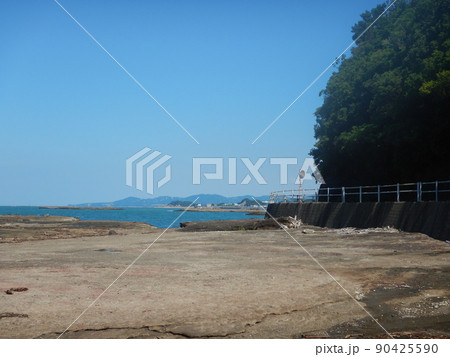 田辺市は天神崎にて 90425590