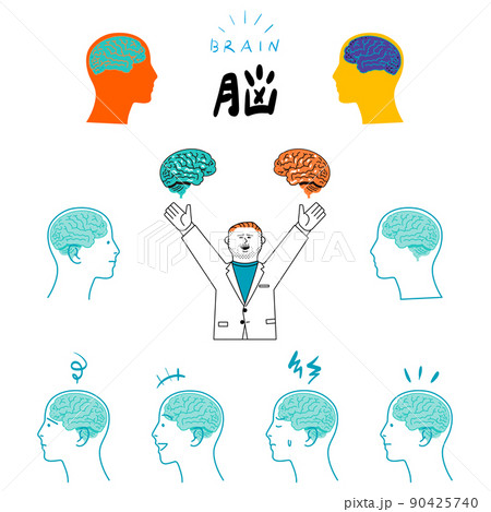 脳と白衣の男性 90425740