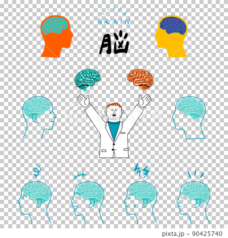 脳と白衣の男性 90425740