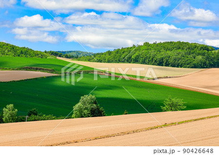 【北海道上富良野町】丘の風景 【北海道上富良野町】丘の風景 90426648
