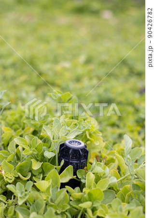 An automatic sprinkler system for watering grass. Copy space 90426782