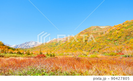 栂池自然園（秋） 90427805