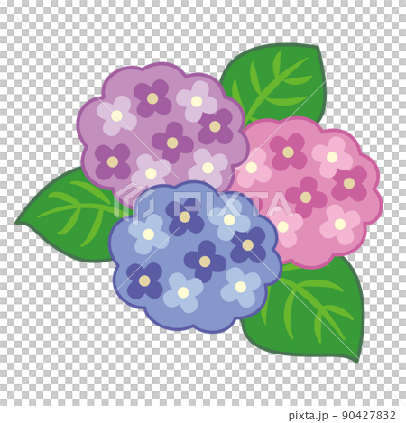 繡球花的插圖 90427832