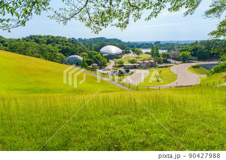 鞍ケ池公園、緑あふれる風景〈愛知県豊田市〉 90427988