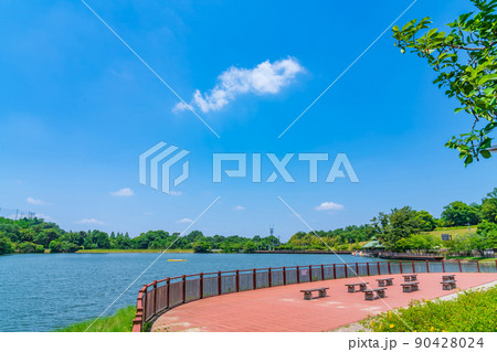 鞍ケ池公園、緑あふれる風景〈愛知県豊田市〉 90428024