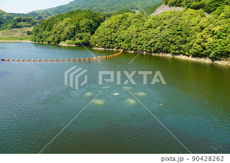 本部ダム(佐賀県) 本部ダム(佐賀県) 90428262