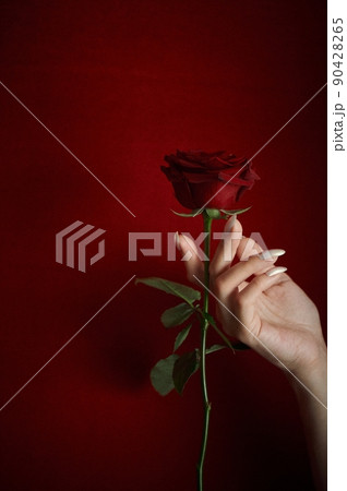 A red rose on a red background. A symbol of passion and love. No extra colors. Background. A red rose on a red background. A symbol of passion and love. No extra colors. Background. 90428265