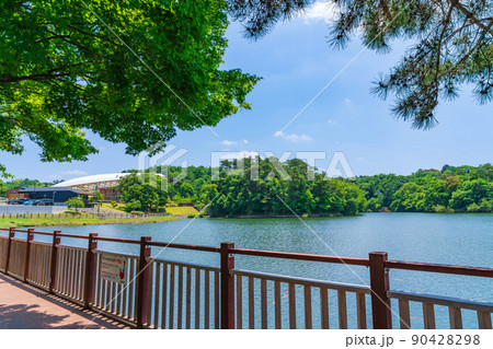 鞍ケ池公園、緑あふれる風景〈愛知県豊田市〉 90428298