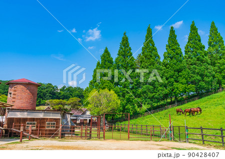 鞍ケ池公園、緑あふれる風景〈愛知県豊田市〉 90428407