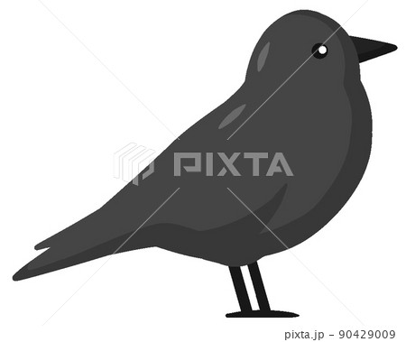 コクマルガラス コクマルガラス 90429009