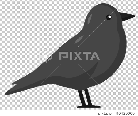 コクマルガラス コクマルガラス 90429009