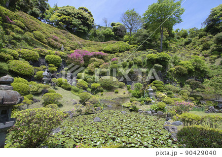 仏行寺の庭 仏行寺の庭 90429040