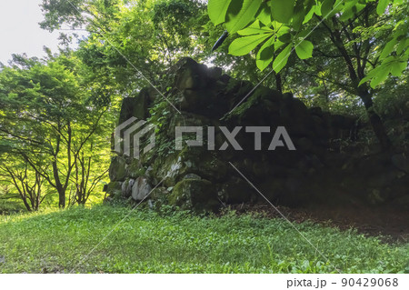 210614城山z027 90429068