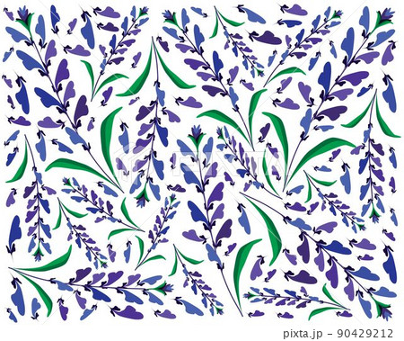 Blue Sage Flowers or Salvia Sclarea Flower Background Blue Sage Flowers or Salvia Sclarea Flower Background 90429212