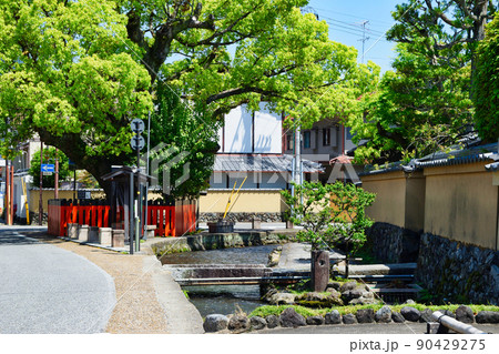 京都 上賀茂神社(賀茂別雷神社)の末社 藤木社 京都 上賀茂神社(賀茂別雷神社)の末社 藤木社 90429275