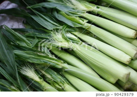 野菜 ベジタブル 青菜 90429379