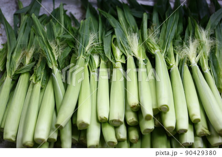 野菜 ベジタブル 青菜 90429380
