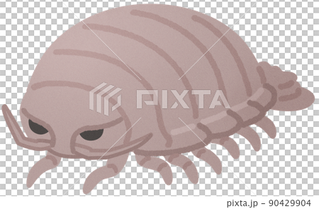 Giant beetle beetle Giant beetle beetle 90429904