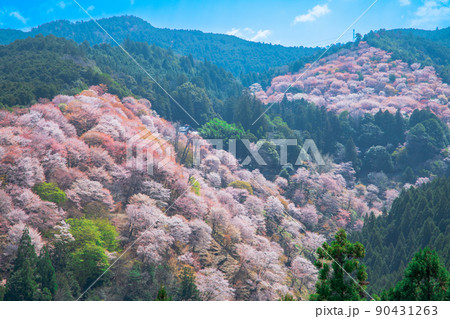 奈良　吉野山　中千本 90431263