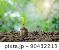 Young plant seedling on stack of coins with soil 90432213