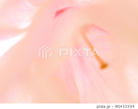 紅変した緑の桜の花びらのクローズアップイメージ ソフトフォーカス 紅変した緑の桜の花びらのクローズアップイメージ ソフトフォーカス 90433594