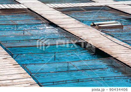 aquaculture installations with fish cages on a fish farm 90434406