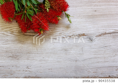 木材背景の金宝樹の花 木材背景の金宝樹の花 90435538