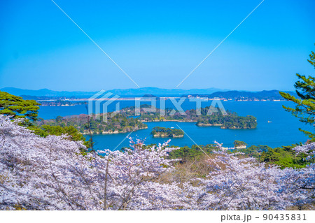 日本三景・松島 西行戻しの松公園から望む桜と青空の松島湾(宮城県松島町) 日本三景・松島 西行戻しの松公園から望む桜と青空の松島湾(宮城県松島町) 90435831