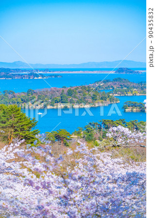 日本三景・松島 西行戻しの松公園から望む桜と青空の松島湾(宮城県松島町) 日本三景・松島 西行戻しの松公園から望む桜と青空の松島湾(宮城県松島町) 90435832