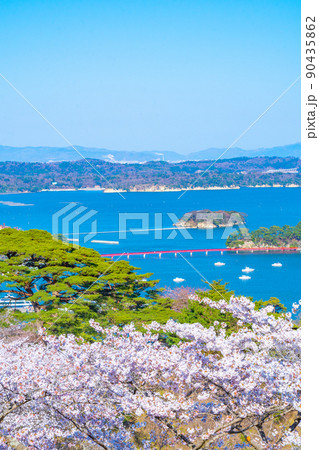 日本三景・松島　西行戻しの松公園から望む桜と青空の松島湾（宮城県松島町） 90435862