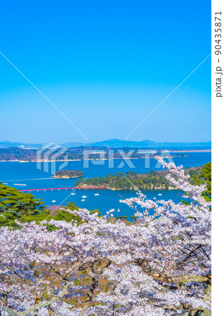 日本三景・松島 西行戻しの松公園から望む桜と青空の松島湾(宮城県松島町) 日本三景・松島 西行戻しの松公園から望む桜と青空の松島湾(宮城県松島町) 90435871