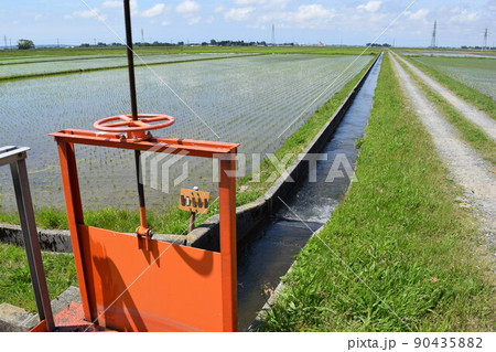 農業用水路 農業用水路 90435882