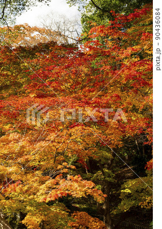 尾関山公園 尾関山公園 90436084