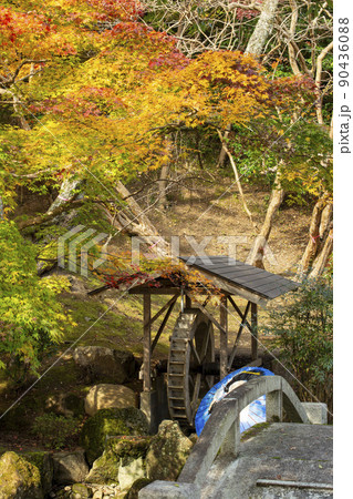 尾関山公園の秋 90436088