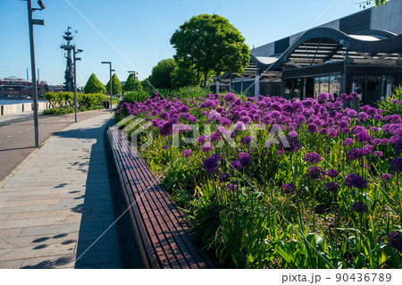 Muzeon   park or park on Krymskaya embankment 90436789