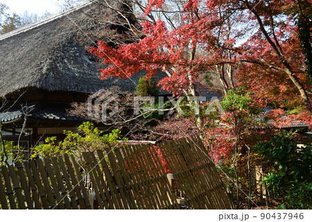 春風萬里荘 2021-11-20 #99 春風萬里荘 2021-11-20 #99 90437946