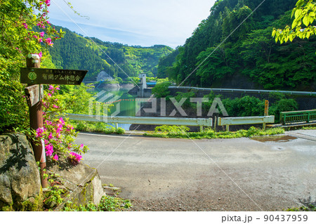 有馬ダム　名栗湖　湖畔　棒ノ嶺登山口　春　新緑の風景 90437959