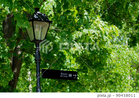 Sign lamppost design wc lantern lamp vintage urban street background, for city antique for streetlight and pink signboard, travel lilac. Sky indicator word, 90438011
