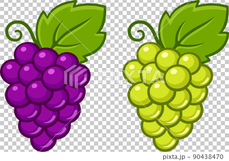 Cartoon red and white grape illustration 90438470