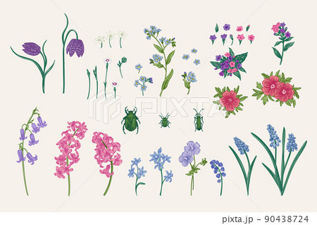 Garden plants and beetles 90438724