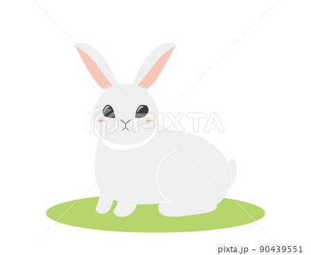 かわいいうさぎ　イラスト 90439551