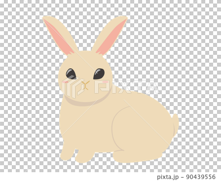 かわいいうさぎ　イラスト 90439556