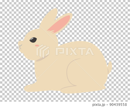 かわいいうさぎ　イラスト 90439558