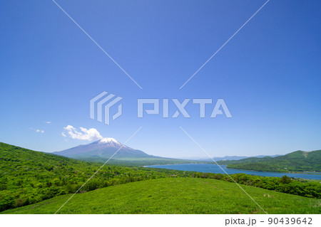 富士山　初夏　　 90439642