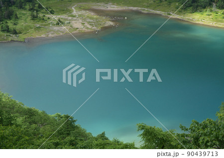 日光白根山登山、湯元ルート、栃木県 90439713