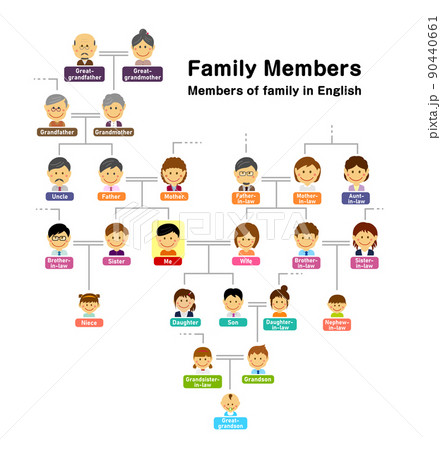 家系図イラスト 英語での親族の名称 呼び方 のイラスト素材