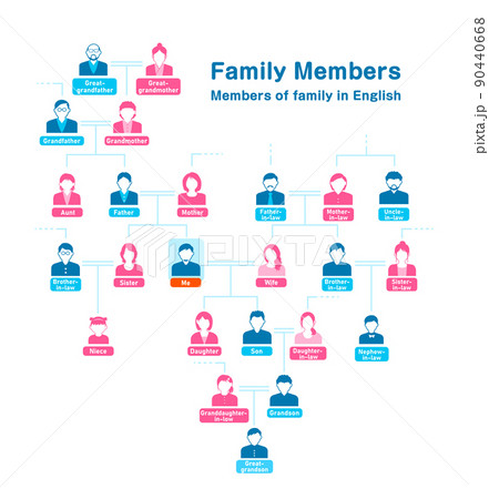 家系図イラスト 英語での親族の名称 呼び方 のイラスト素材