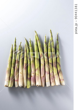 春から初夏にかけて旬の根曲り竹　姫竹　山菜 90441381